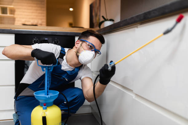 Pest Control Cost in Calverton Park, MO