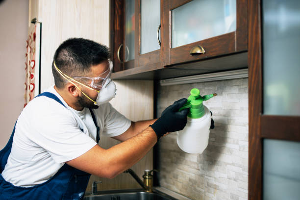 Best Emergency Pest Control  in Calverton Park, MO