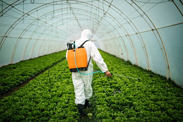 Best Pest Prevention Services  in Calverton Park, MO