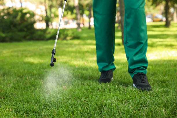 Best Best Pest Control Companies  in Calverton Park, MO