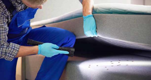 Best Affordable Pest Control Services  in Calverton Park, MO