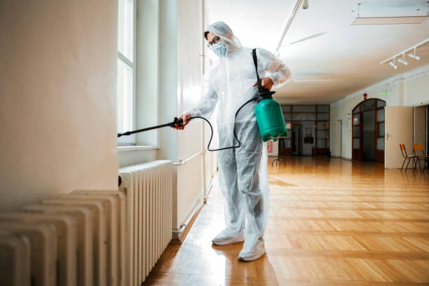 Best Flea Control Services  in Calverton Park, MO