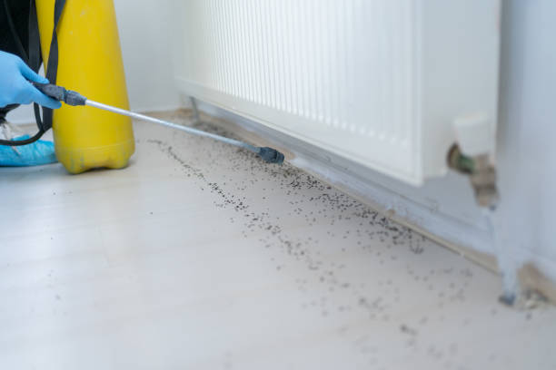 Best Pest Control for Homes  in Calverton Park, MO