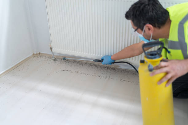 Best Commercial Pest Control Services  in Calverton Park, MO