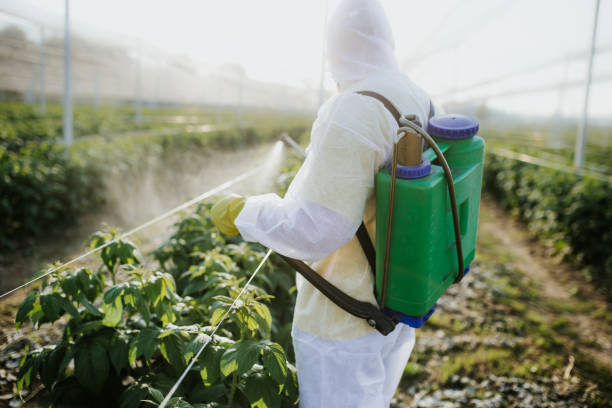 Best Exterminator Services  in Calverton Park, MO